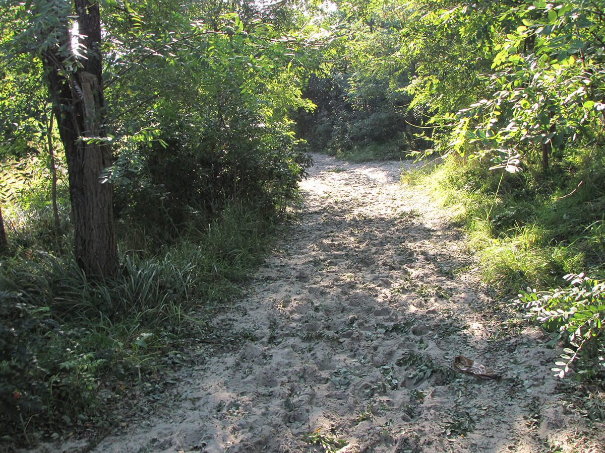 Baltijsk tropinka