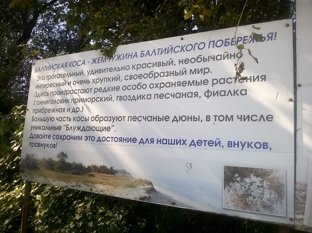Baltijskaya kosa