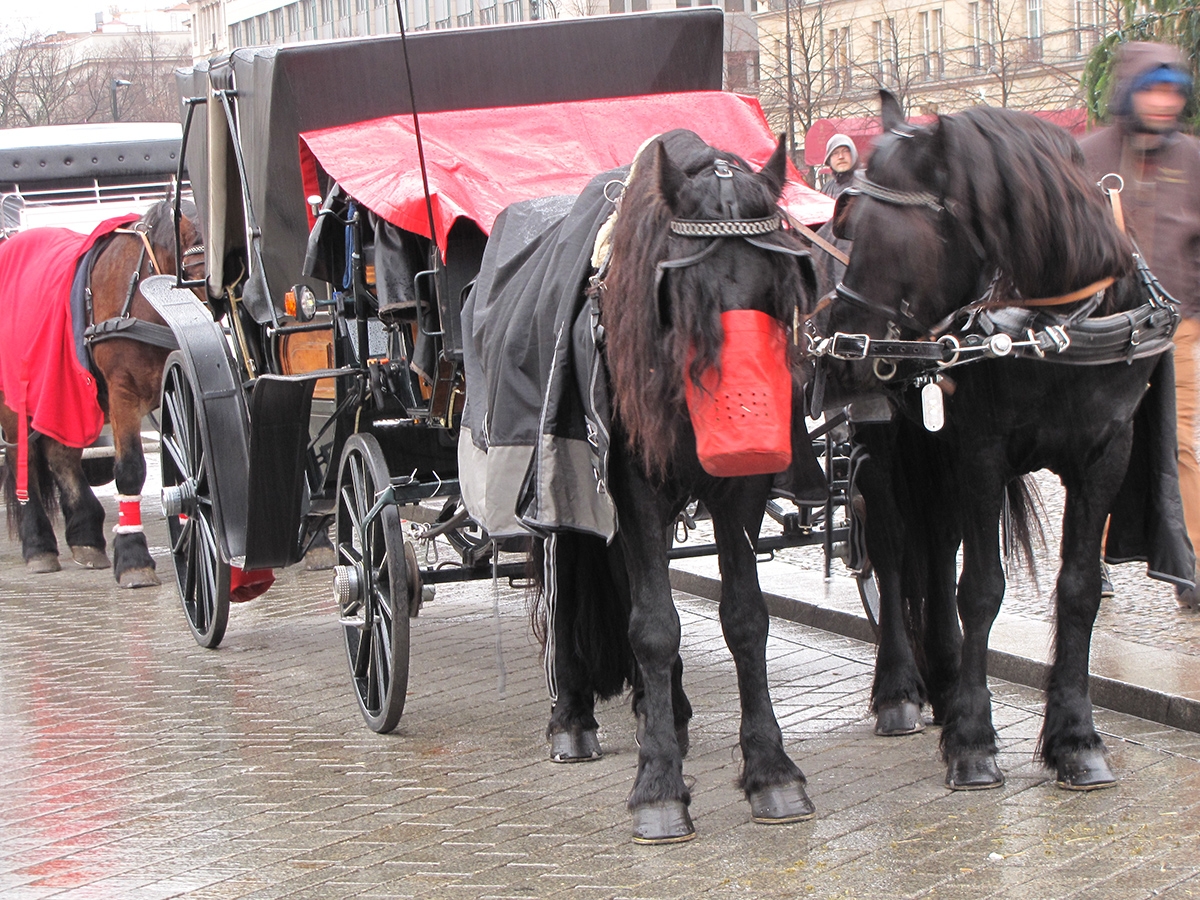 Berlin Pariser platz Carriage