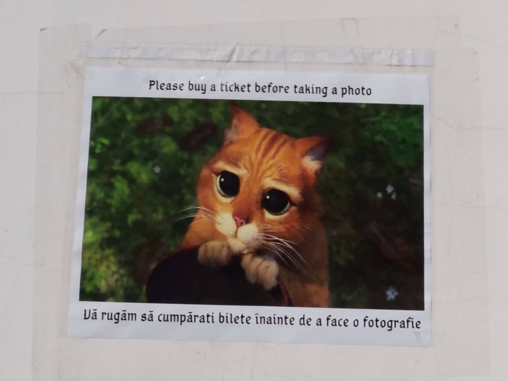 Kisinjev Puskinov muzej