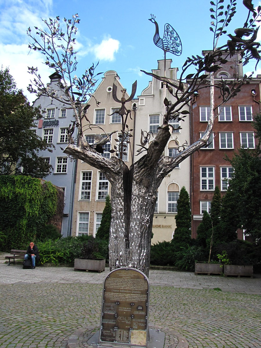 Gdansk Drzewo Millenium