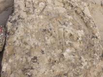 Gobustan petroglifi
