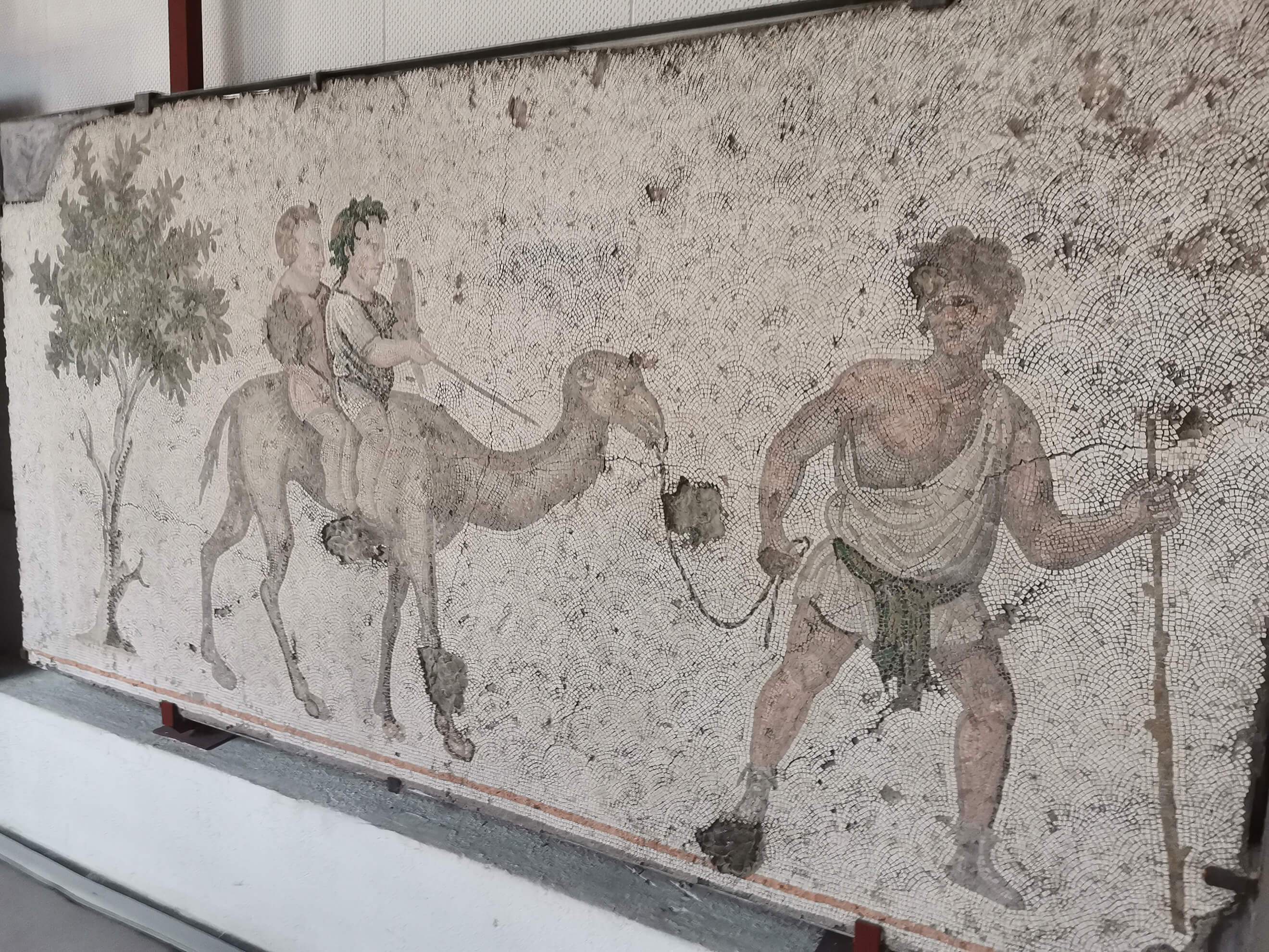 Istanbul Great Palace Mosaic Museum