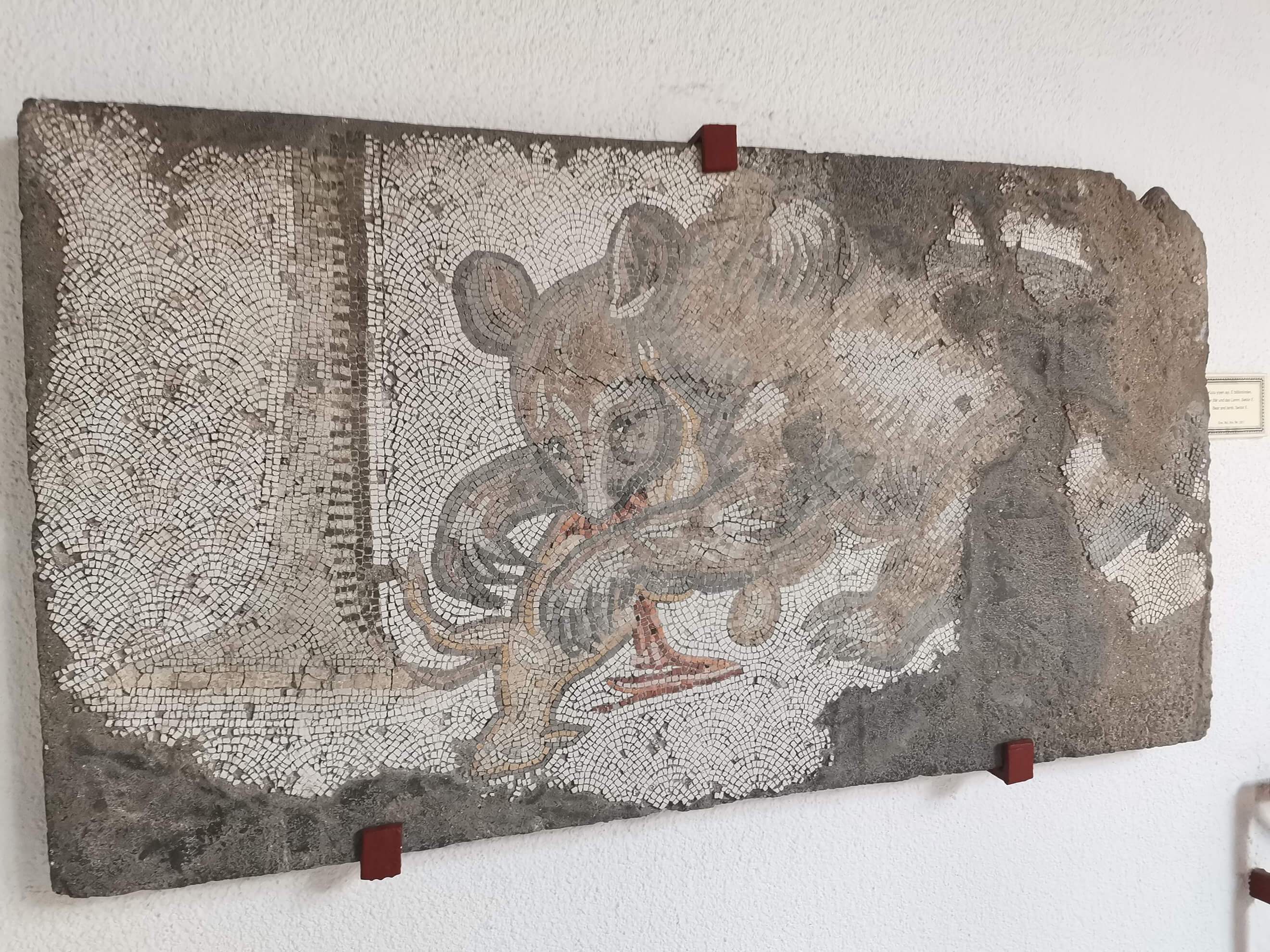 Istanbul Great Palace Mosaic Museum