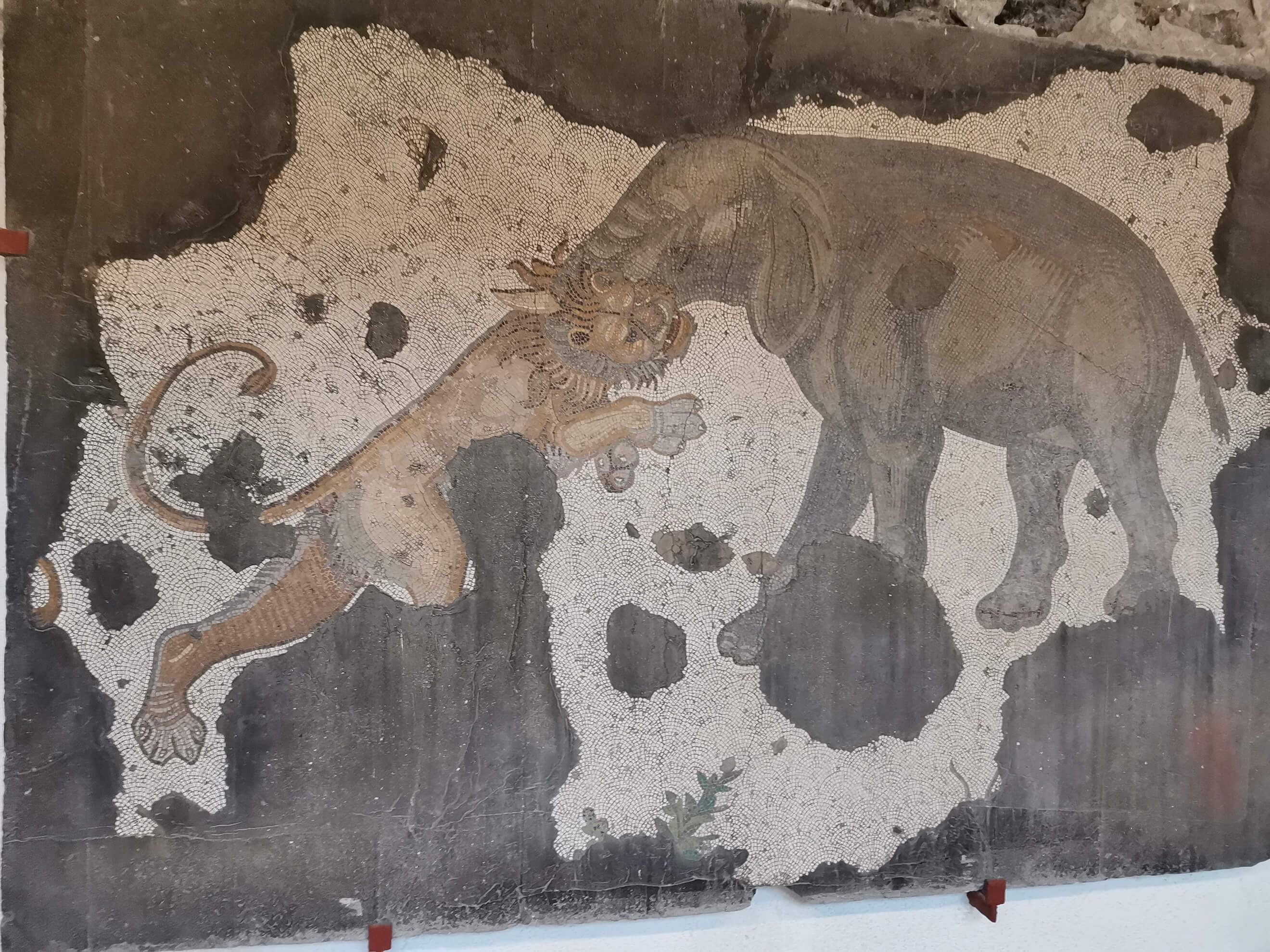Istanbul Great Palace Mosaic Museum