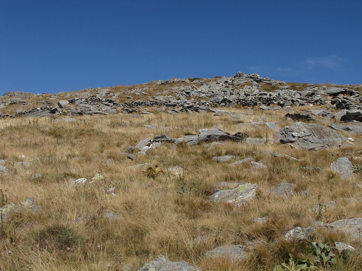 Kajmakcalan