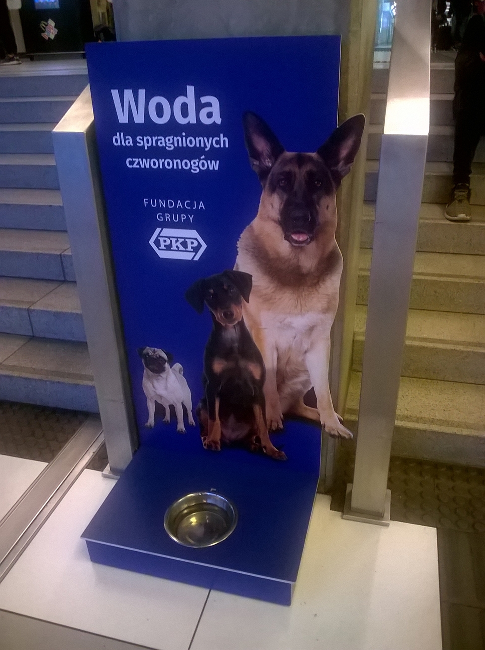 Katowice Railway station dog pot