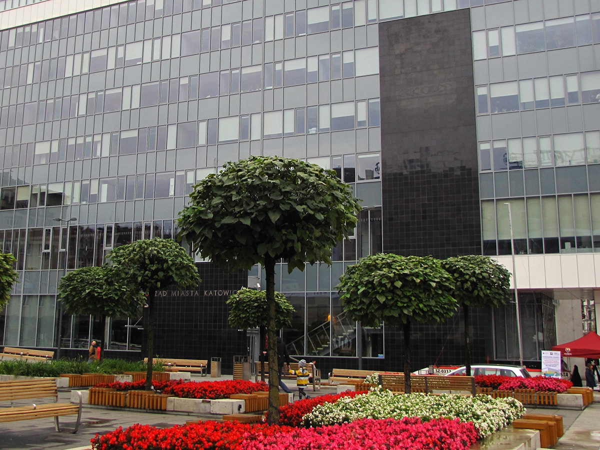 Katowice Rynek flower square