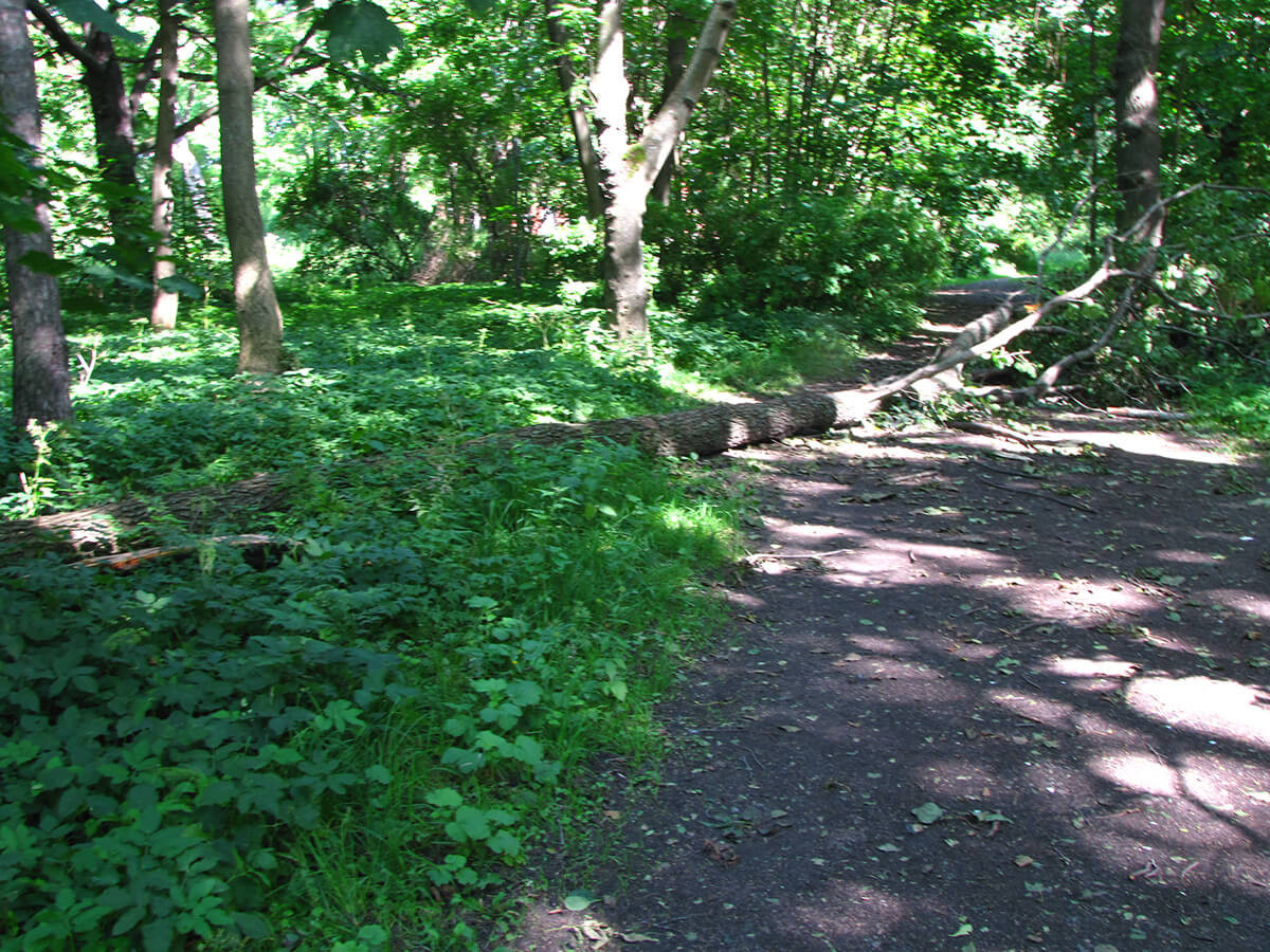 Kronštat - Letnja bašta