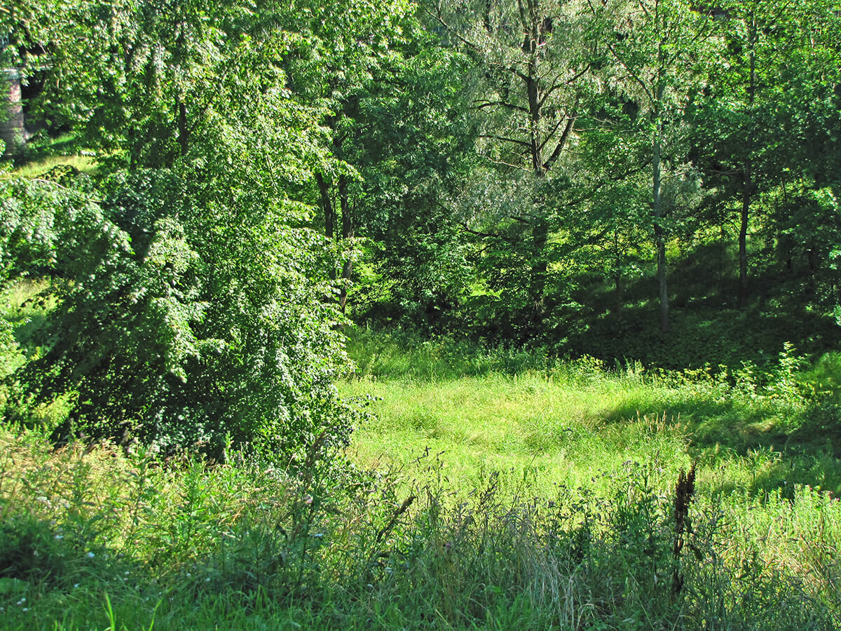 Kronštat - Petrova jaruga