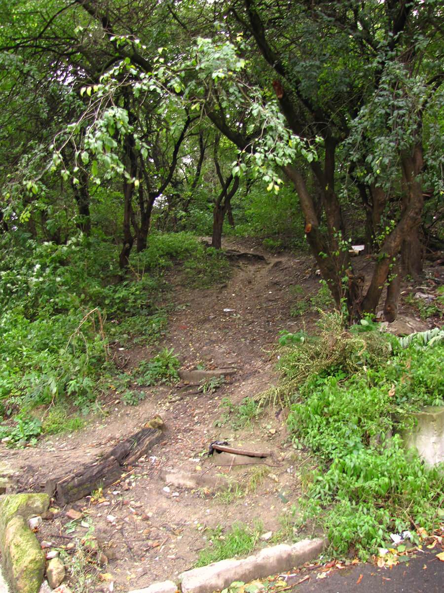 Lavov - staza citadela