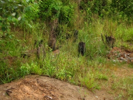 Nevsky Pyatachok blindage remains