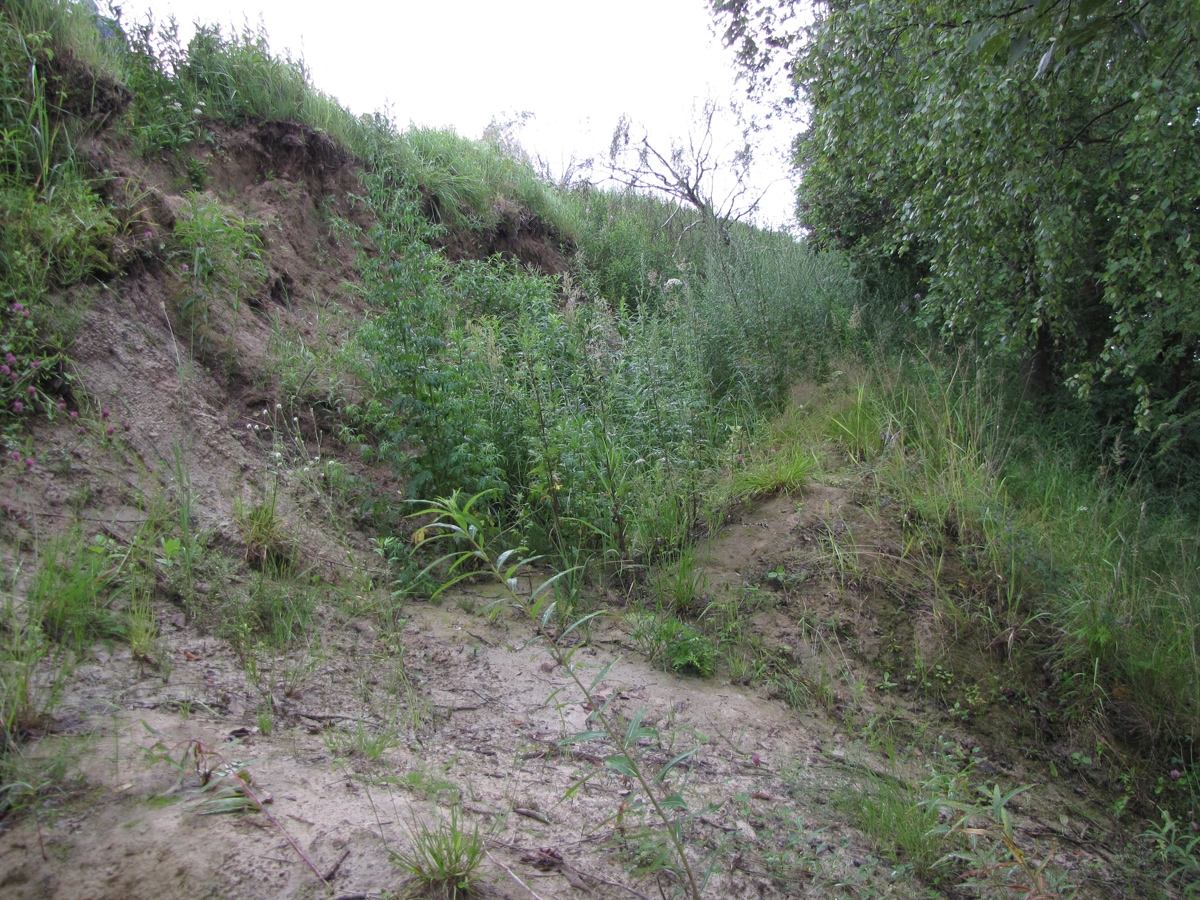 Nevsky Pyatachok podem