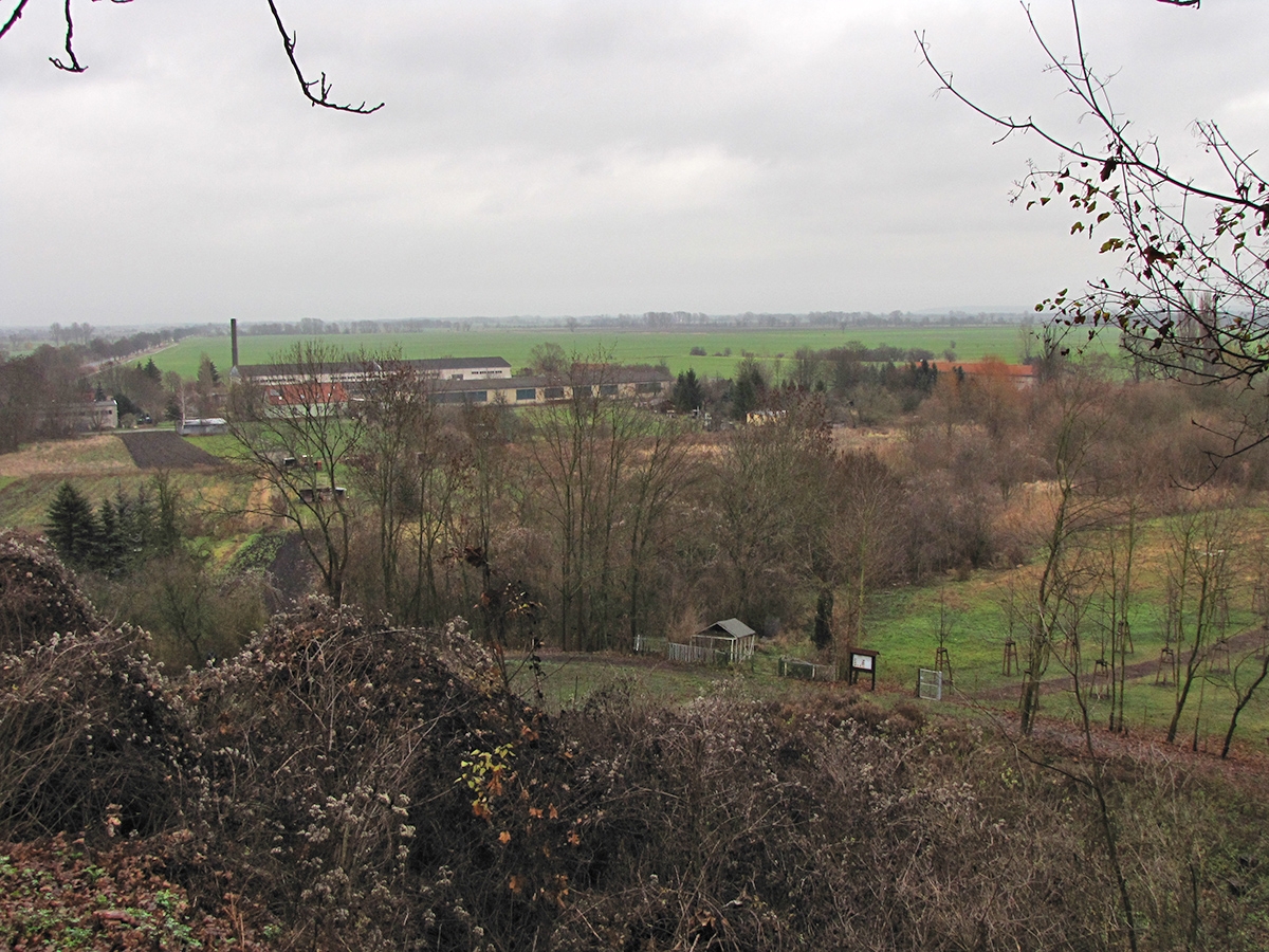 Oderbruch