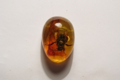 Souvenir amber imitation