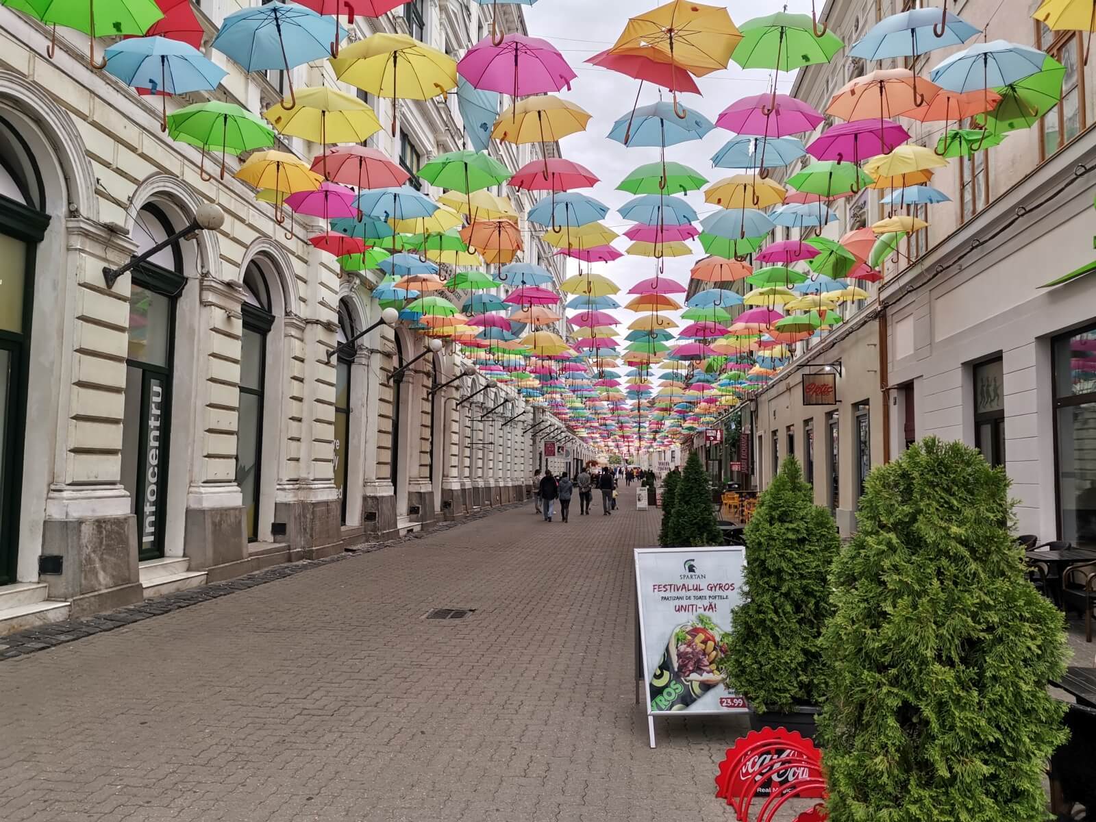 Timisoara Alba Iulia