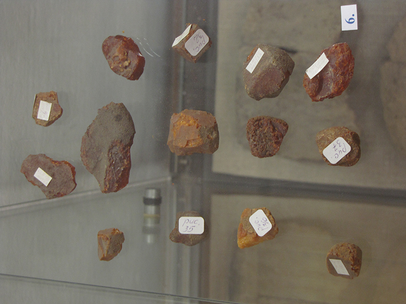 Kaliningrad_muzej_kafedralnogo_sobora03