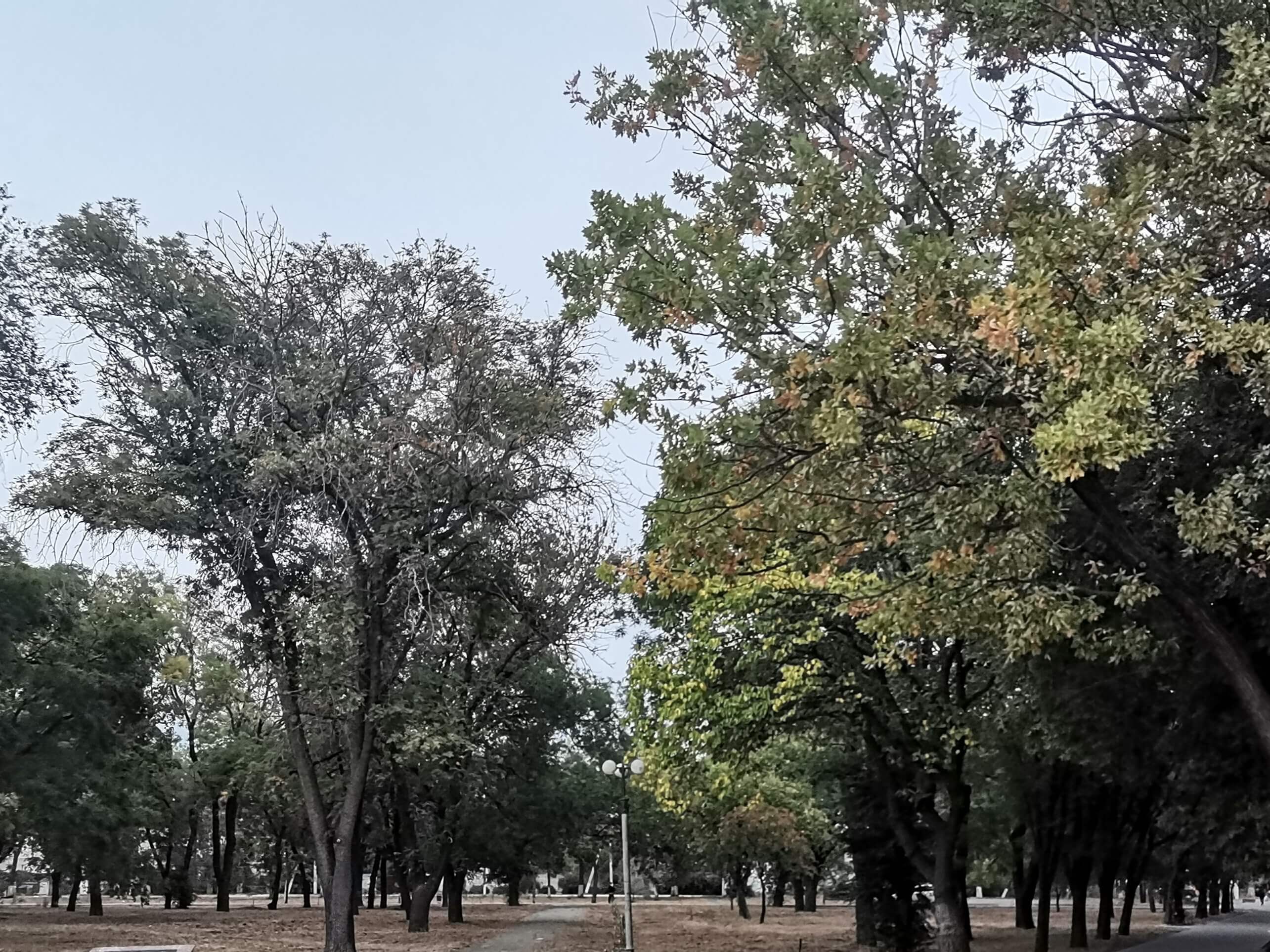 Tiraspolj Pokrovski park