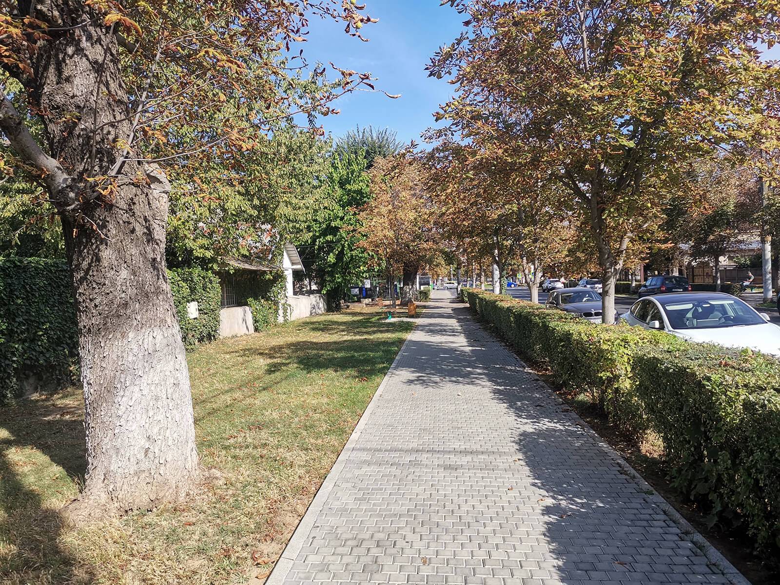 Trgoviste