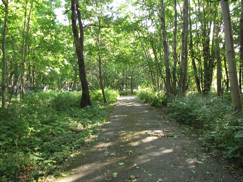Westerplatte_footway