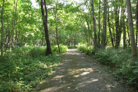 Westerplatte_footway
