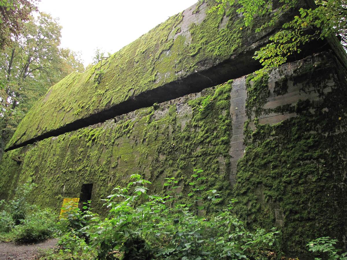 Vučja jazbina - Geringov bunker