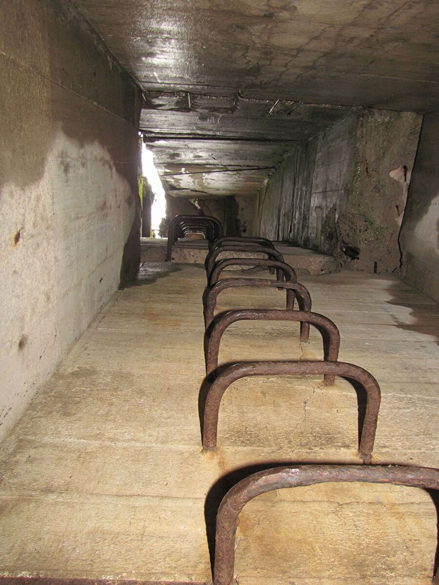 Vučja jazbina - Geringov bunker