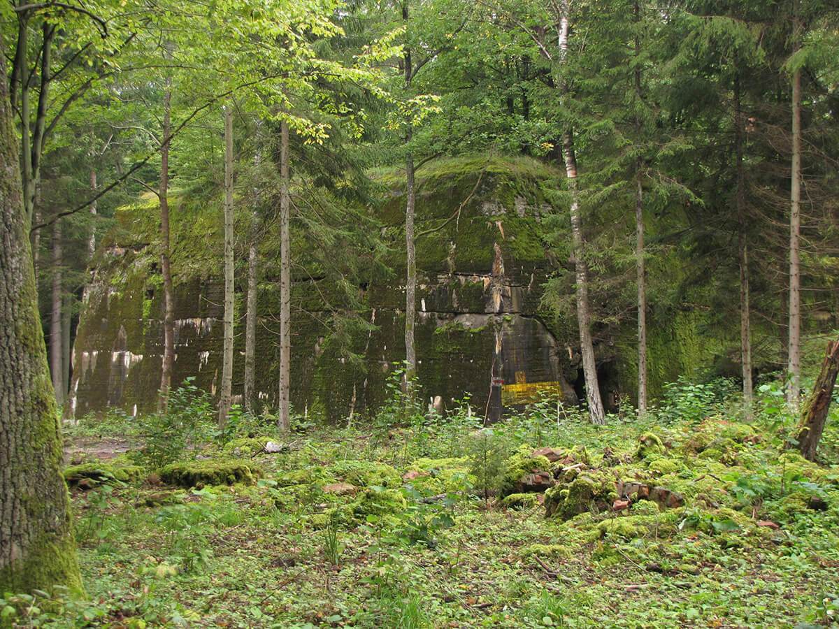 Vučja jazbina - Bunker veze