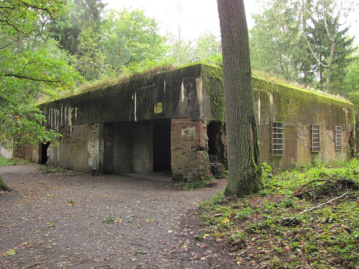 Vučja jazbina - Garaza