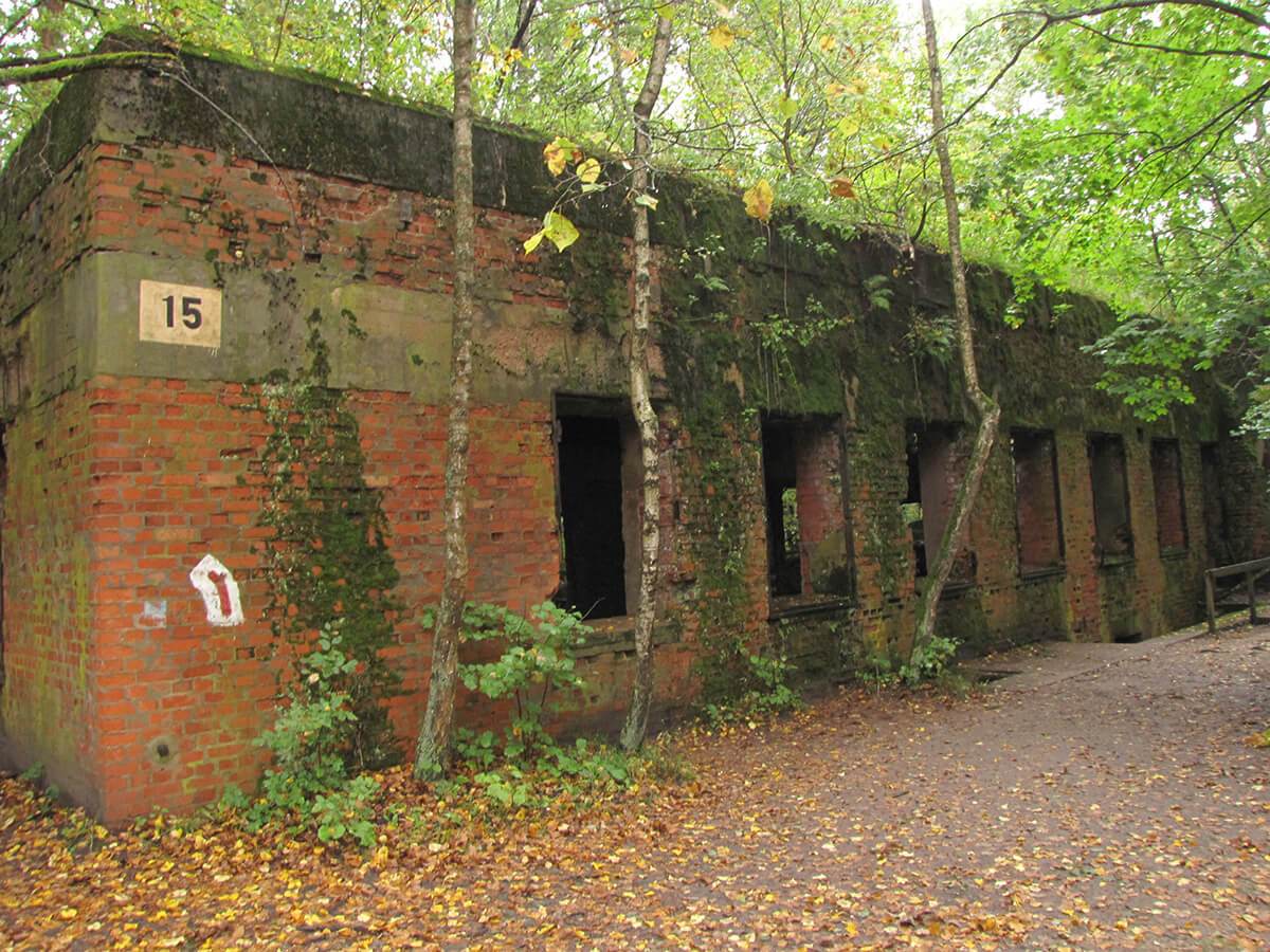 Vučja jazbina - Geringova kucaga