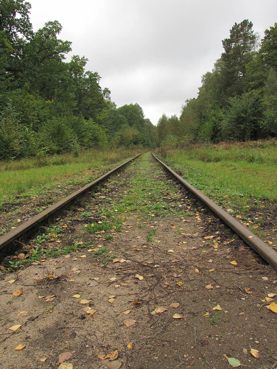 Vučja jazbina - Pruga