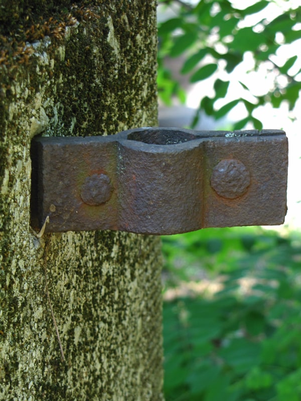 Šarka nekadašnje kapije