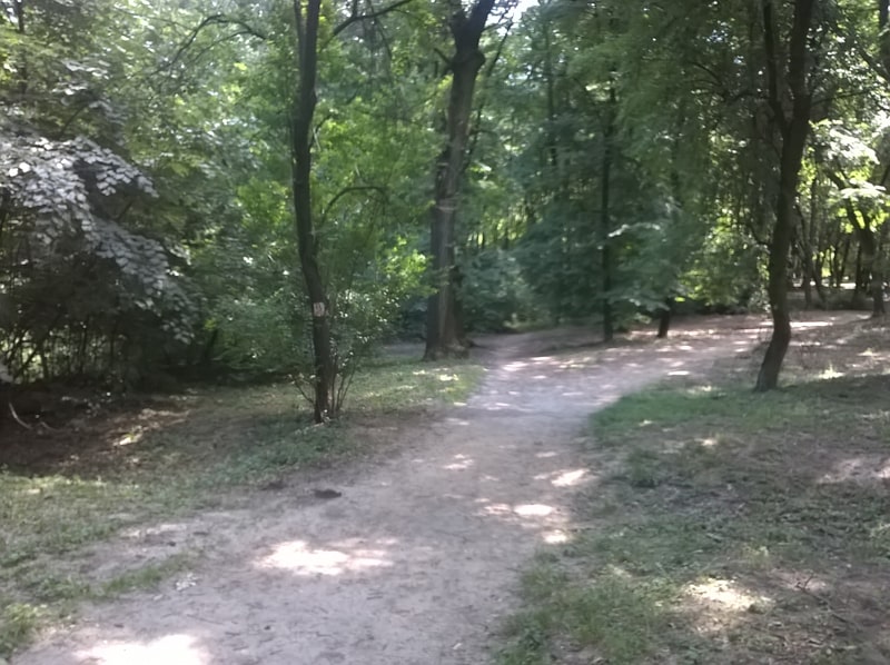 Stazica prema šumskoj upravi