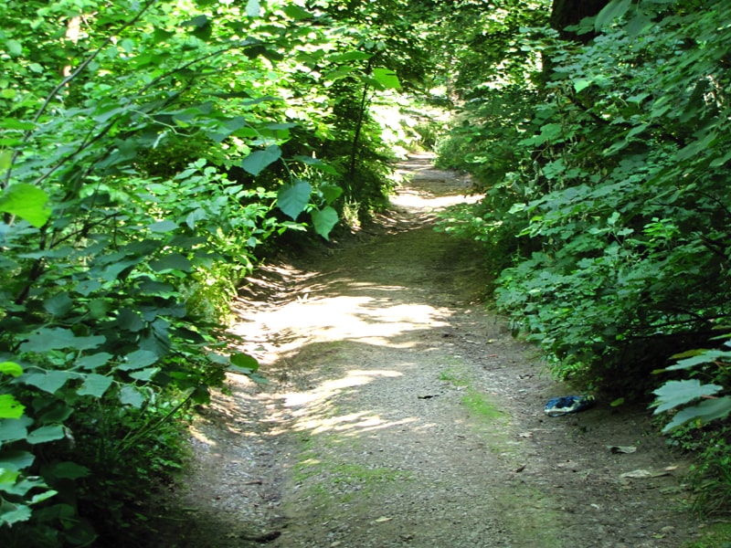 Stazica prema šumskoj upravi