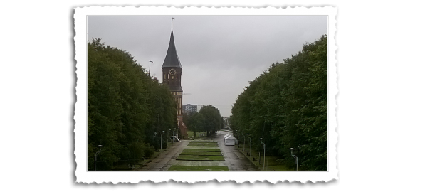 Kišoviti Kalinjingrad